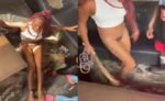 Wife Beats Sidechick And Strips Her Naked