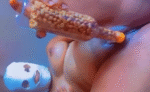 Masked Lady Masturbate Using Groundnut Bottle