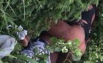 Mzansi Girl Having Sex In The Bush