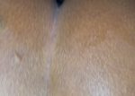 Love My Neighbor Dick In My Asshole