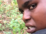 Favour collecting doggy inside bush
